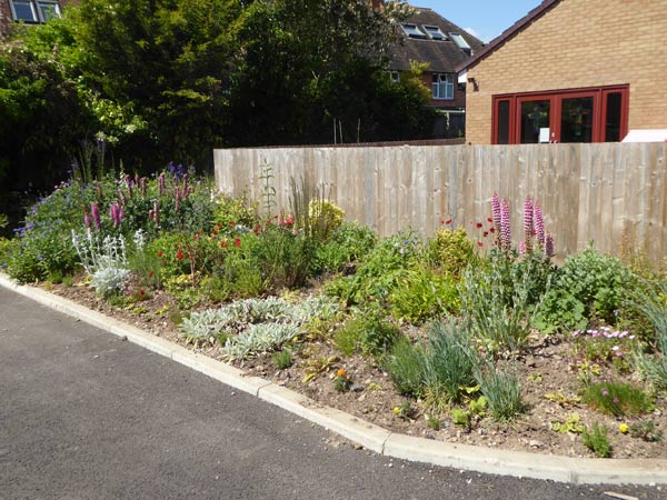 16-Landscaped-garden